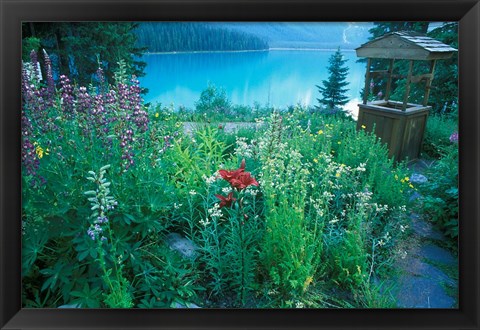 Framed Emerald Lake, Yoho National Park, British Columbia Print