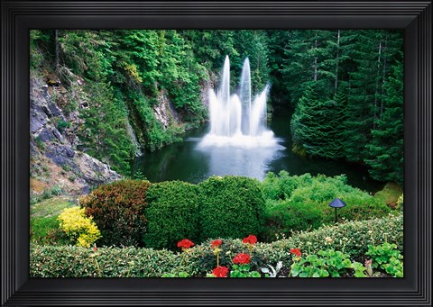 Framed Butchart Gardens, Saanich, Vancouver Island, British Columbia Print