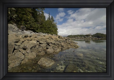 Framed Dicebox Island, Pacific Rim NP, British Columbia Print