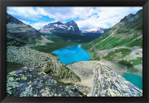 Framed Lake O&#39;Hara, Yoho National Park, British Columbia, Canada Print