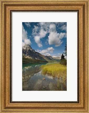 Framed Waterfowl lake, Icefields parkway, Banff NP, Canada Print