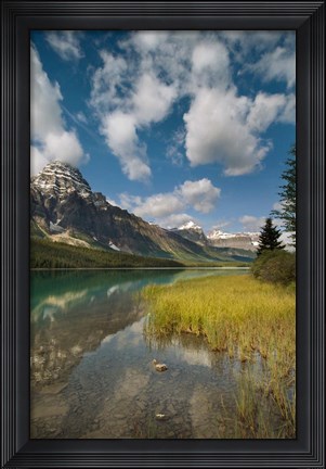Framed Waterfowl lake, Icefields parkway, Banff NP, Canada Print