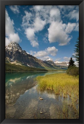 Framed Waterfowl lake, Icefields parkway, Banff NP, Canada Print