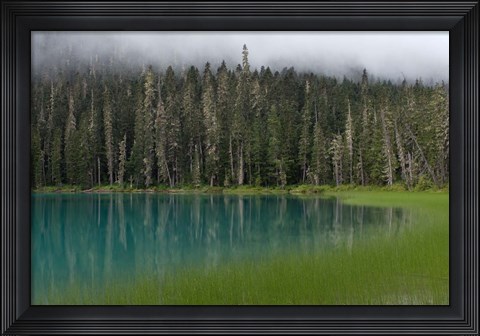 Framed Blue glacial lake, evergreen forest, British Columbia Print