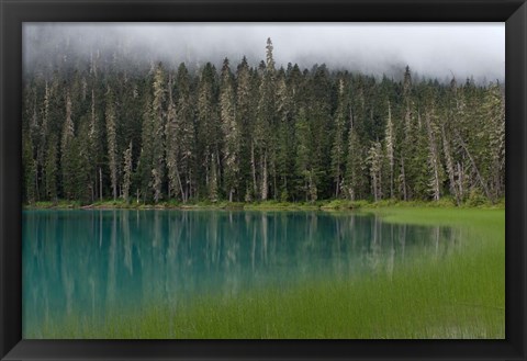 Framed Blue glacial lake, evergreen forest, British Columbia Print