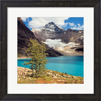 Framed British Columbia, Yoho NP Lake McArthur Print
