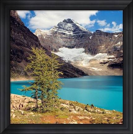 Framed British Columbia, Yoho NP Lake McArthur Print