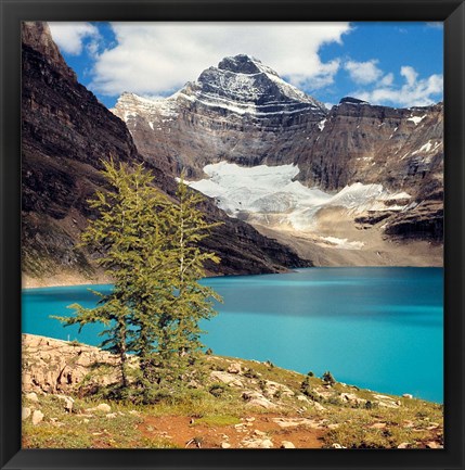 Framed British Columbia, Yoho NP Lake McArthur Print