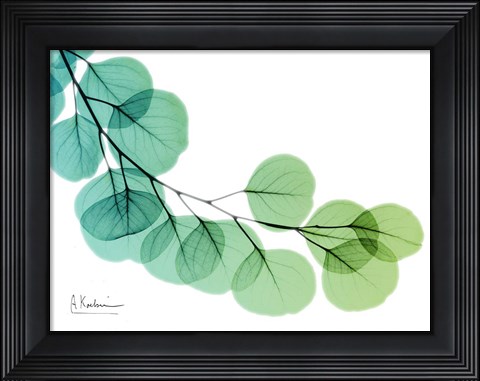 Framed Eucalyptus Green Blue Print