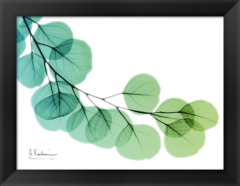 Framed Eucalyptus Green Blue Print