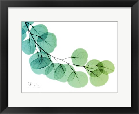 Framed Eucalyptus Green Blue Print