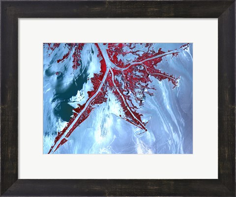 Framed False Color Satellite View of the Very tip of the Mississippi River Delta Print