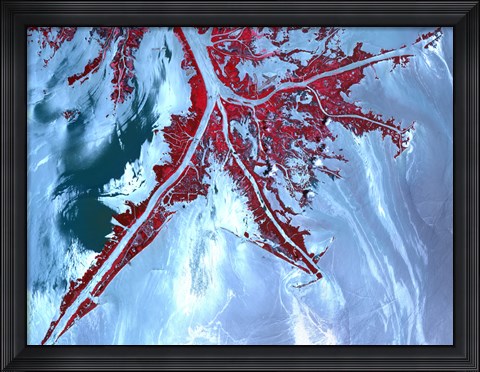 Framed False Color Satellite View of the Very tip of the Mississippi River Delta Print