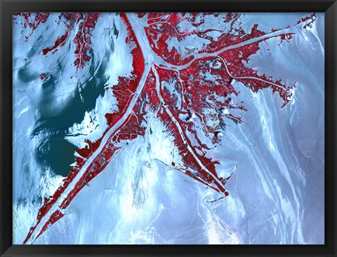 Framed False Color Satellite View of the Very tip of the Mississippi River Delta Print