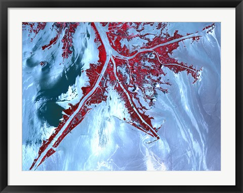 Framed False Color Satellite View of the Very tip of the Mississippi River Delta Print