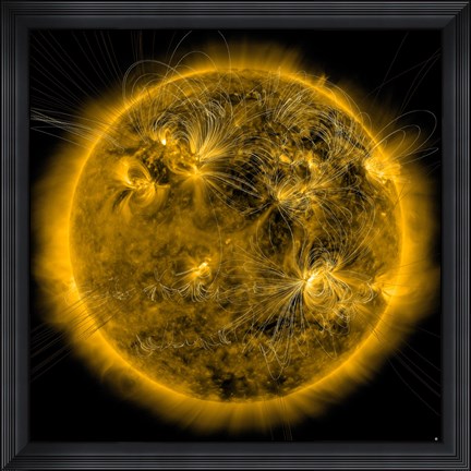 Framed Magnetic Field lines on the Sun Print
