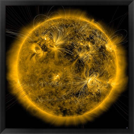 Framed Magnetic Field lines on the Sun Print