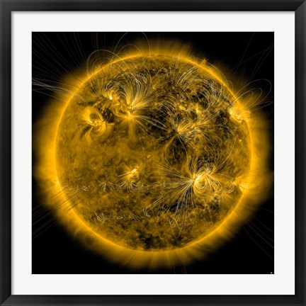 Framed Magnetic Field lines on the Sun Print