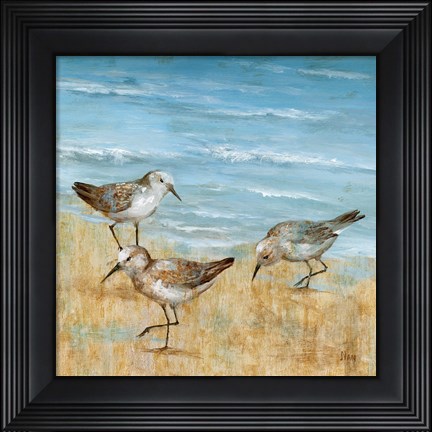 Framed Sandpipers II Print