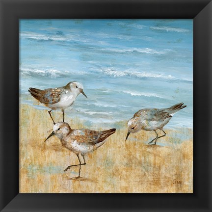 Framed Sandpipers II Print