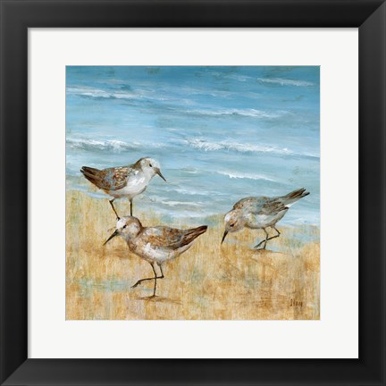 Framed Sandpipers II Print