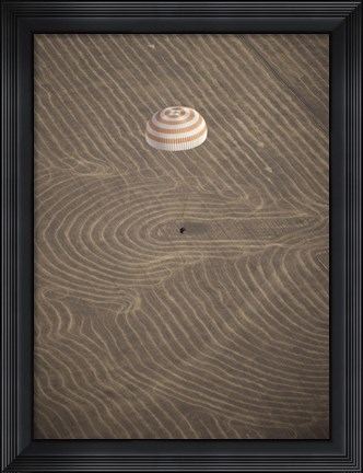 Framed Soyuz TMA-14 Spacecraft in Descent Print