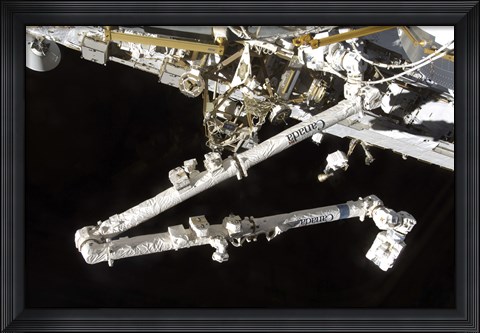 Framed Canadian-Built Space Station Remote Manipulator System (Canadarm2), during Undocking AWctivities Print