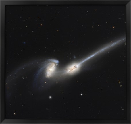 Framed NGC 4676, also Known as the Mice Galaxies Print