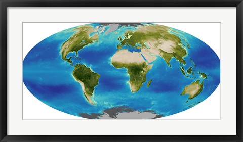 Framed Average Plant Growth of the Earth Print