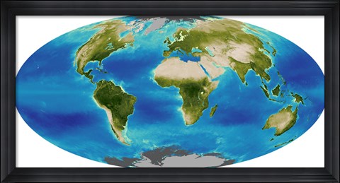 Framed Average Plant Growth of the Earth Print