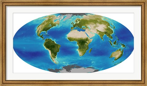 Framed Average Plant Growth of the Earth Print