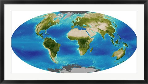 Framed Average Plant Growth of the Earth Print