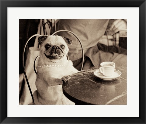 Framed Cafe Pug Print