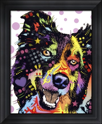 Framed Border Collie 1 Print