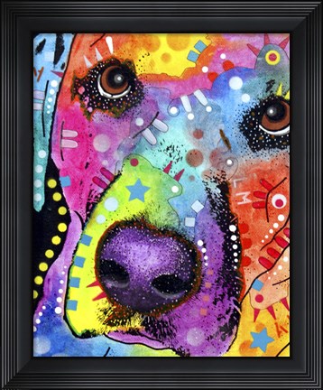 Framed Closeup Labrador Print