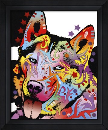 Framed Siberian Husky 1 Print