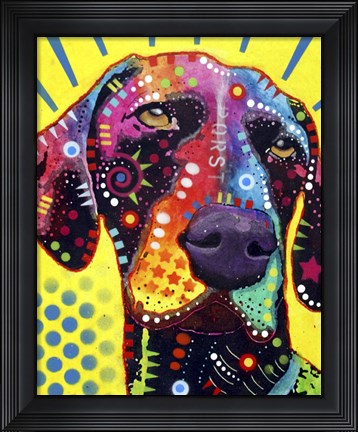 Framed German Short Hair Pointer Print
