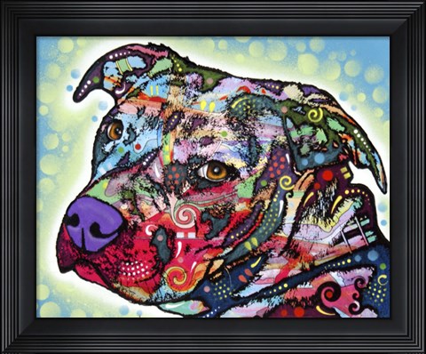 Framed Bulls Eye Print