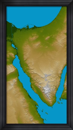 Framed Sinai Peninsula Print