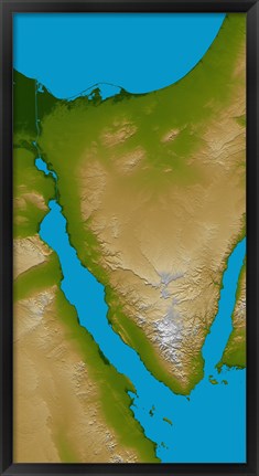 Framed Sinai Peninsula Print