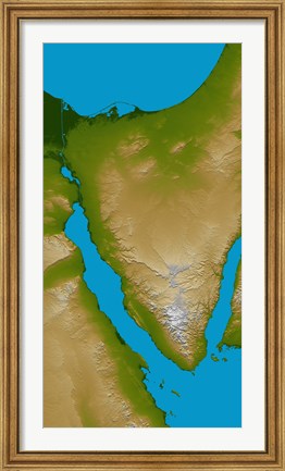 Framed Sinai Peninsula Print