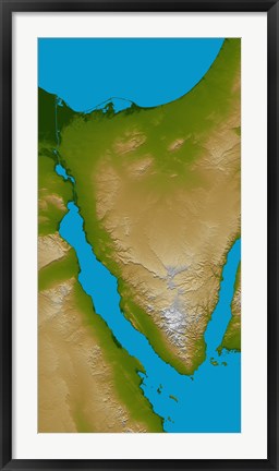 Framed Sinai Peninsula Print