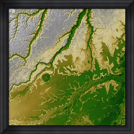 Framed Bolivian Amazon Print