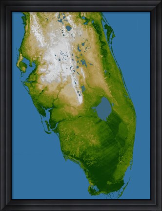 Framed Southern Florida Print
