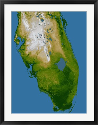 Framed Southern Florida Print