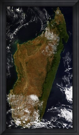 Framed Madagascar Print