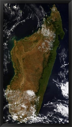 Framed Madagascar Print