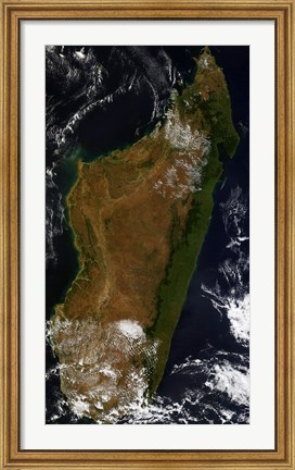 Framed Madagascar Print