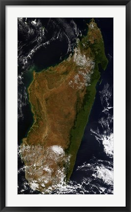 Framed Madagascar Print