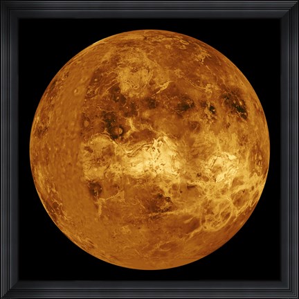 Framed Venus Print